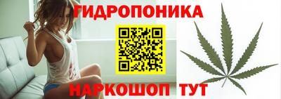 jwh Лесосибирск