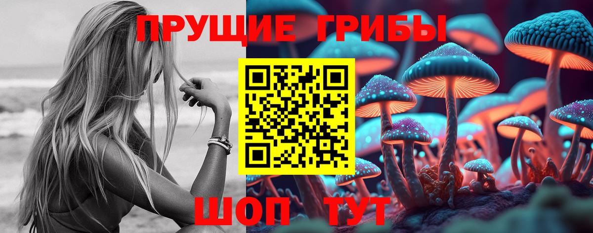 Псилоцибиновые грибы Cubensis Тосно